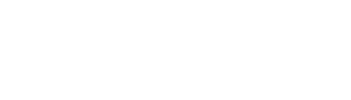 GeoExec